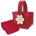Set de 5 bolsitos con toalla