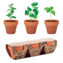 Set 3 Macetas Terracota con Aromáticas Madera