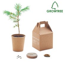 Set de Semillas de Pino 30cm/año UE Beig