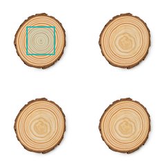 Set de 4 posavasos de madera natural | ZONA1 | 60 x 50