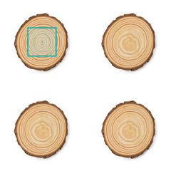 Set de 4 posavasos de madera natural | ZONA1 | 60 x 50