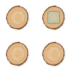 Set de 4 posavasos de madera natural | ZONA2 | 60 x 50