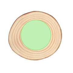 Set de madera de pino con 4 posavasos | Objeto 2 | 50 x 50