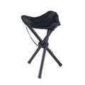 Silla Plegable de Exterior 100Kg Negro