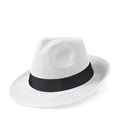 Sombrero tipo panamá en varios colores