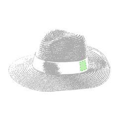 Sombrero Ala Ancha | En la cinta | 23 x 30