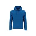 Sudadera adulto con capucha forrada