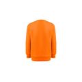 Sudadera Niño 300g Interior Cardado