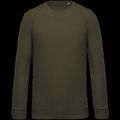 Sudadera colores lisos de algodón Mossy Green Xl