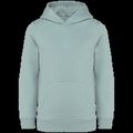 Sudadera infantil sin cremallera y con capucha Jade Green 12/14 Ans
