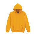 Sudadera capucha niños antibolitas Gold S