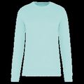 Sudadera eco corte recto Ice Mint 3Xl