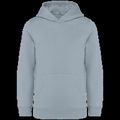 Sudadera infantil sin cremallera y con capucha Aquamarine 8/10 Ans