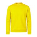 Sudadera Adulto 280g/m2 Ama Xxl