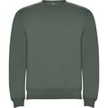 Sudadera Unisex Colores con Elastano Verde Laurel 1/2