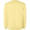 Sudadera unisex cuello redondo