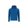 Sudadera niño con capucha forrada Azul 11-12