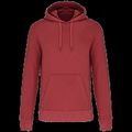 Sudadera capucha ecorresponsable Terracotta Red 4Xl