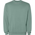 Sudadera unisex cuello redondo Verde Pato Lavado L