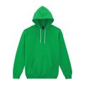 Sudadera con capucha clásica Irish Green 3Xl