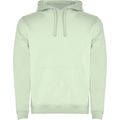 Sudadera con Capucha y Bolsillo Canguro Verde Mist 2Xl