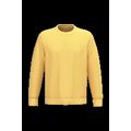 Sudadera lisa Unisex Pineapple 4Xl