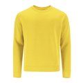 Sudadera adulto unisex de algodón Ama Xxl