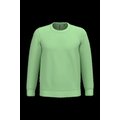 Sudadera algodón poliéster cuello redondo Apple Green Xs