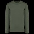 Sudadera algodón poliéster cuello redondo Caper Green 3XL