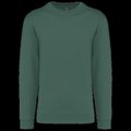 Sudadera algodón poliéster cuello redondo Earthy Green 3XL