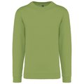 Sudadera algodón poliéster cuello redondo Pistachio M