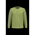 Sudadera algodón poliéster cuello redondo Pistachio S