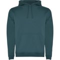 Sudadera con Capucha y Bolsillo Canguro Azul Lago S