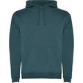 Sudadera con Capucha y Bolsillo Canguro Azul Lago Xl