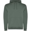 Sudadera con Capucha y Bolsillo Canguro Verde Laurel 7/8