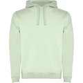 Sudadera con Capucha y Bolsillo Canguro Verde Mist 2Xl