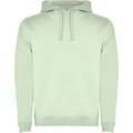 Sudadera con Capucha y Bolsillo Canguro VERDE MIST XS