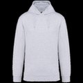 Sudadera con capucha de chico Ash Heather M