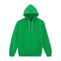 Sudadera con capucha clásica Irish Green L
