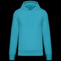 Sudadera capucha ecorresponsable Sea Turquoise Xl