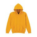 Sudadera capucha niños antibolitas Gold S