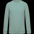Sudadera colores lisos de algodón Sage 3XL