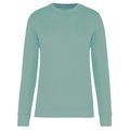 Sudadera cuello redondo ecorresponsable niños Sage 8/10 ans