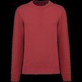 Sudadera eco corte recto Terracotta Red XXL