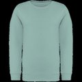 Sudadera infantil eco Jade Green 8/10 Ans