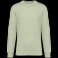 Sudadera lisa Unisex Celadon Green L
