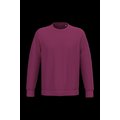 Sudadera lisa Unisex Cherry Purple Xxl