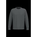Sudadera lisa Unisex Iron Grey Xl
