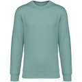 Sudadera lisa Unisex Jade Green M