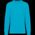 Sudadera lisa Unisex Light Turquoise XL